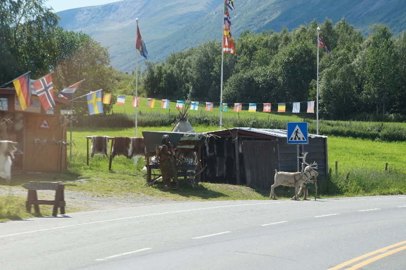 Norwegen-2014-6382